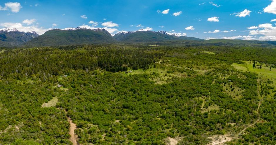 nuevas condiciones de venta en aldealia