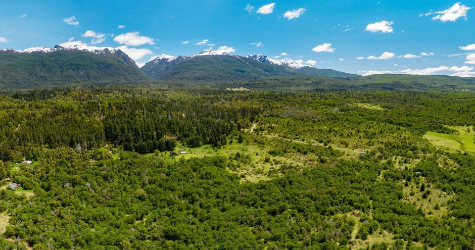 invertir en tierras es una inversion segura