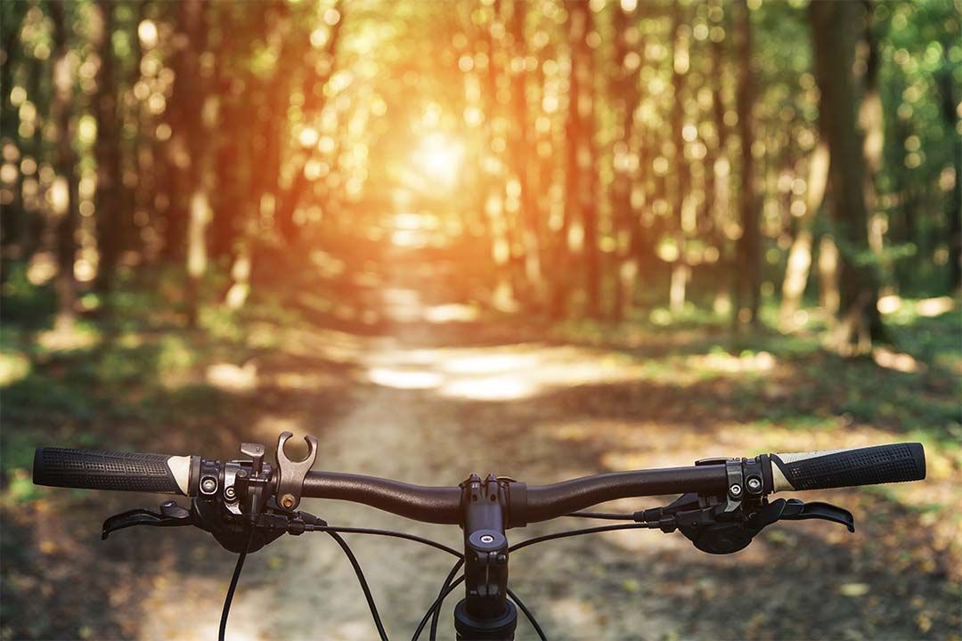 ventajas de vivir en la naturaleza
